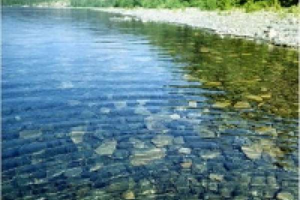 Предприятие «Настюша Грязи» самовольно добывало пресную воду Предприятие «Настюша Грязи» самовольно добывало пресную воду