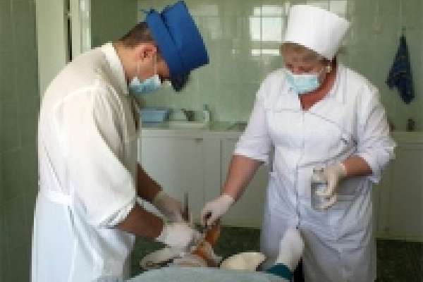 Эксперты МБРР оценили уровень здравоохранения Липецкой области