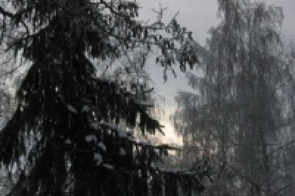 Ожидается давно невиданный паводок