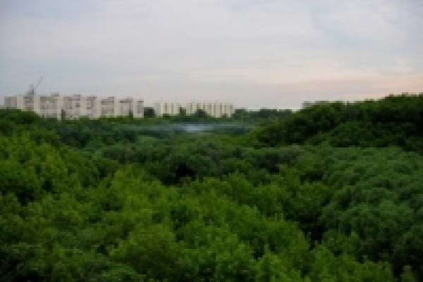 В Липецке появятся особо охраняемые природные территории