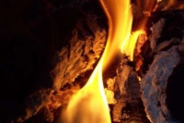 В пожаре погибли мать и сын В пожаре погибли мать и сын