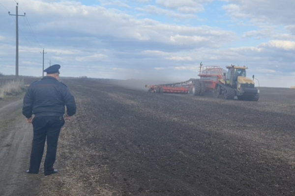СХП «Мокрое» привлечено к административной ответственности за захват полей в Лебедянском районе