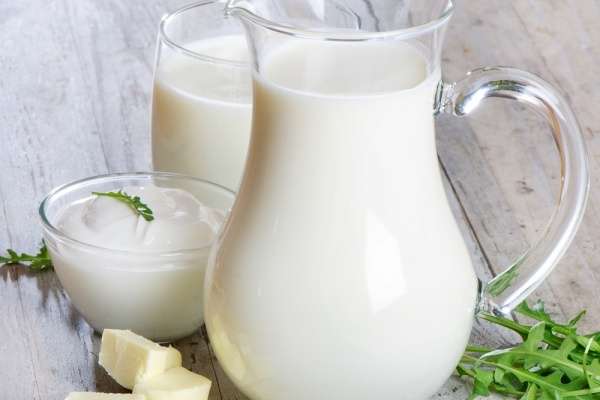 В Липецкой области запускают молочный завод за 1 млрд рублей