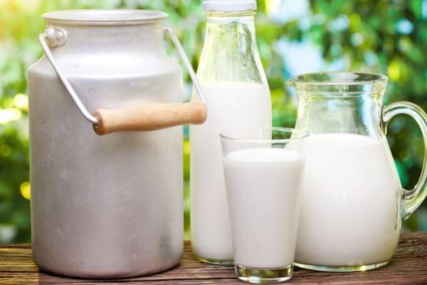 Липецкая область плетется в хвосте рейтинга производителей молока