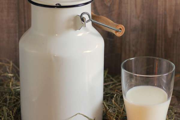Крупный производитель молочки в Липецкой области доработался до конкурсного производства