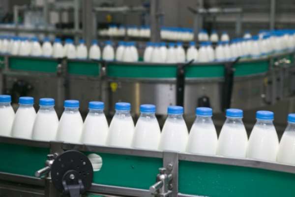 В Липецкой области «Лебедяньмолоко» планирует построить новое молочное производство