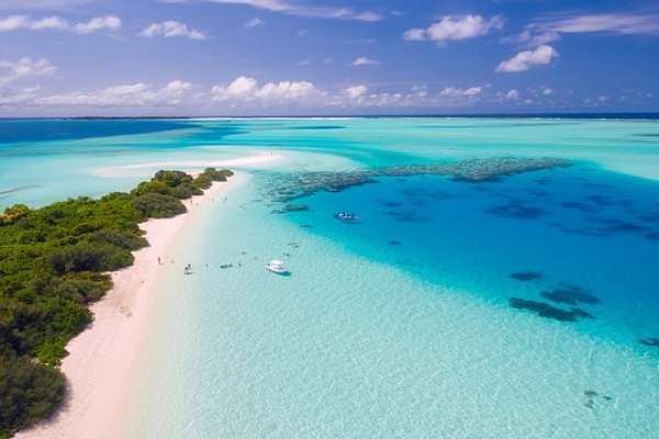 Читатели «Липецких новостей» настроены проводить лето на арендованных островах – опрос