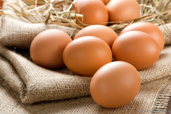 В Липецкой области в 2015 году производство яиц сократилось на 9%