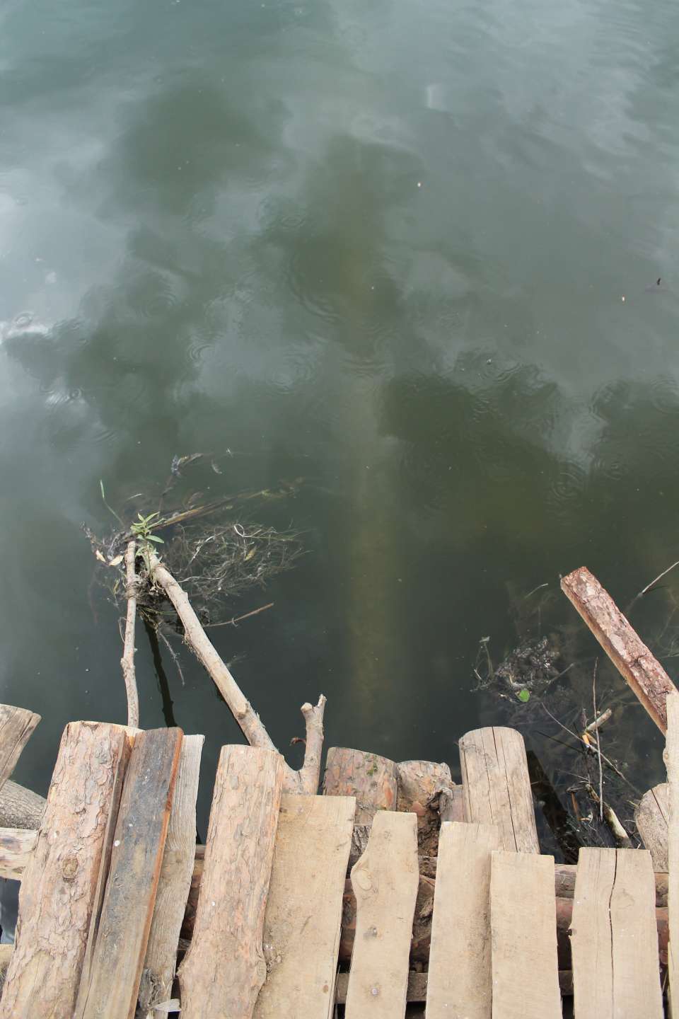 "Водоканал" города Задонска под прикрытием местных властей «маскирует» следы загрязнения реки Дон