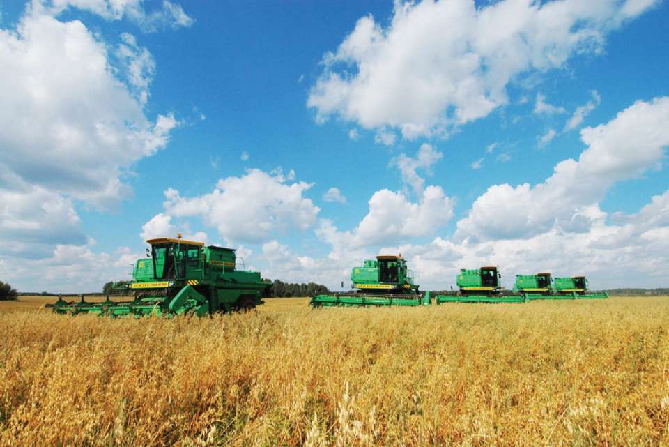 Объём выпуска продукции сельского хозяйства Липецкой области достиг 77 млрд. рублей