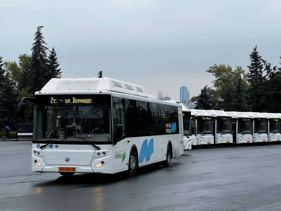В Липецке закупили автобусы за полмиллиарда рублей с местами для собак