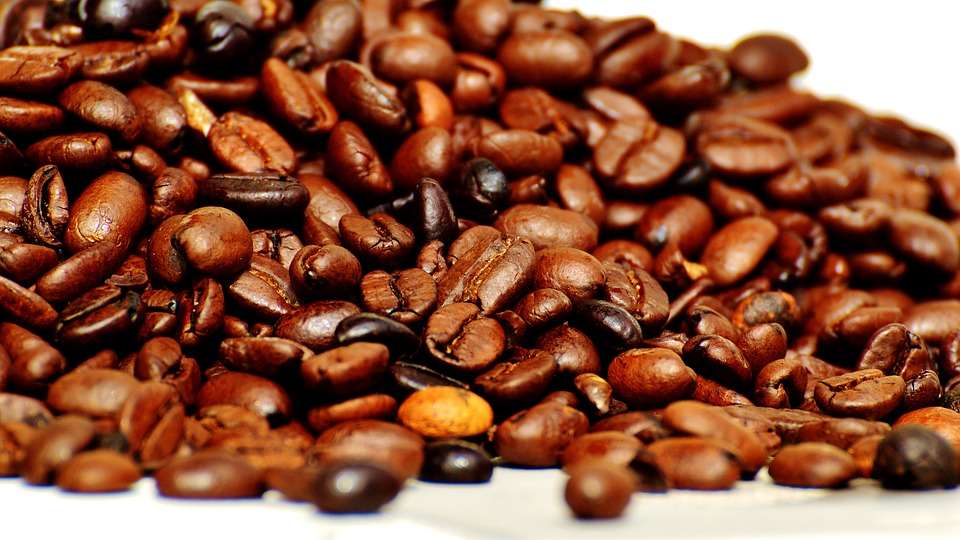«Липецкая кофейная компания» начала возводить предприятие за 220 млн рублей в региональной экономзоне