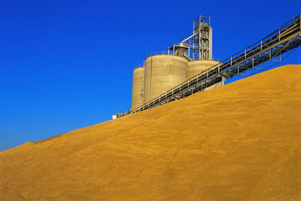 «АгроТерра» заканчивает строительство в Липецкой области своего предприятия по хранению зерна на 70 тыс. тонн