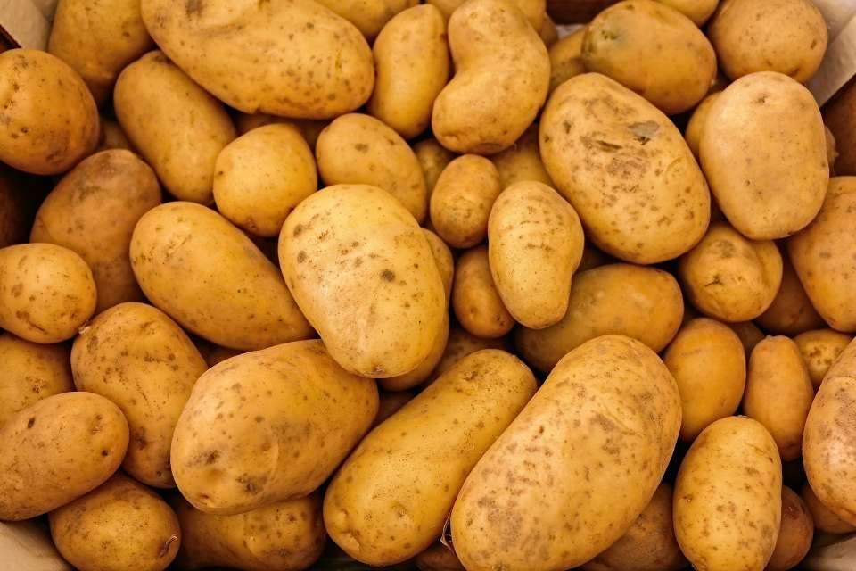Торги липецкой картофельной станции за 648 млн рублей приостановили по неизвестной причине