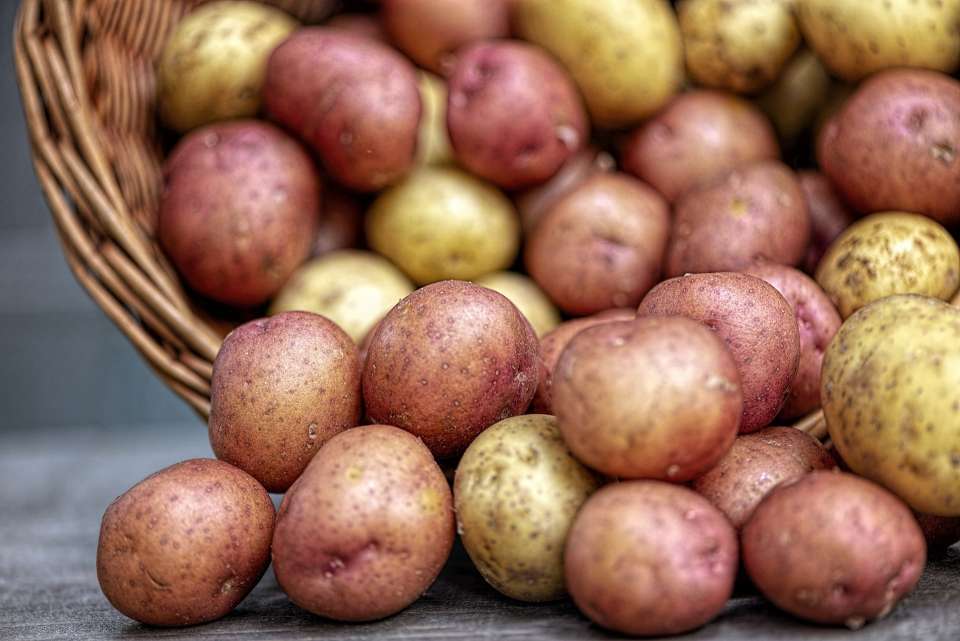 Столетнюю Липецкую картофельную станцию готовы продать за 648 млн рублей