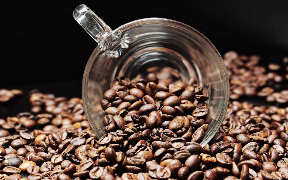 Липецкая кофейная компания отгрузила первую партию экспортной продукции в гипермаркеты SPAR на Украину