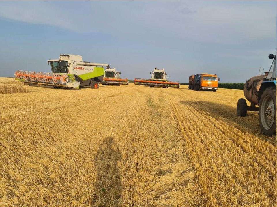 СХП «Мокрое» собирает посевы на полях фермеров в Липецкой области вопреки решению суда