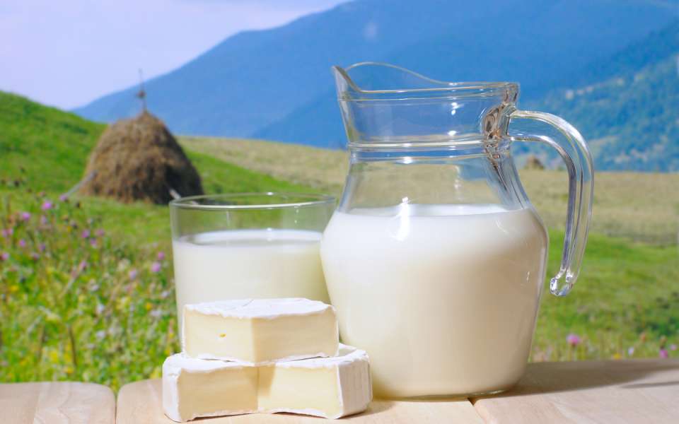 К концу 2017 года в Липецкой области планируют производить 330 тыс. тонн молока в год