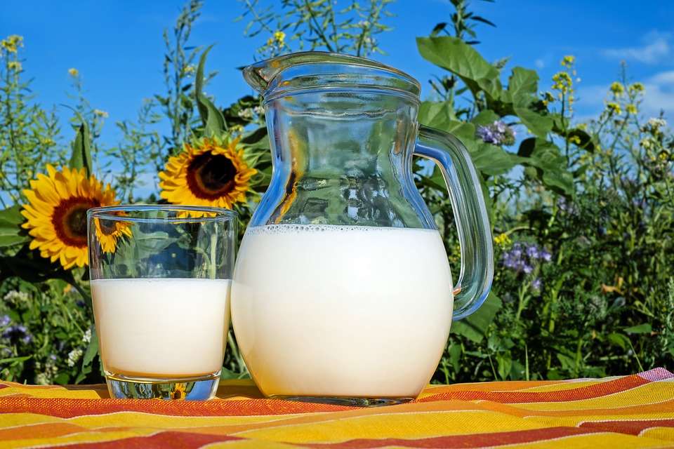 В Липецкой области производство молока пошло в гору