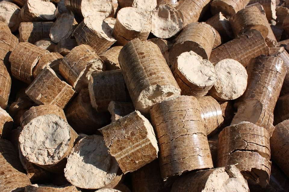 Завод по производству древесных гранул заработал в Липецкой области