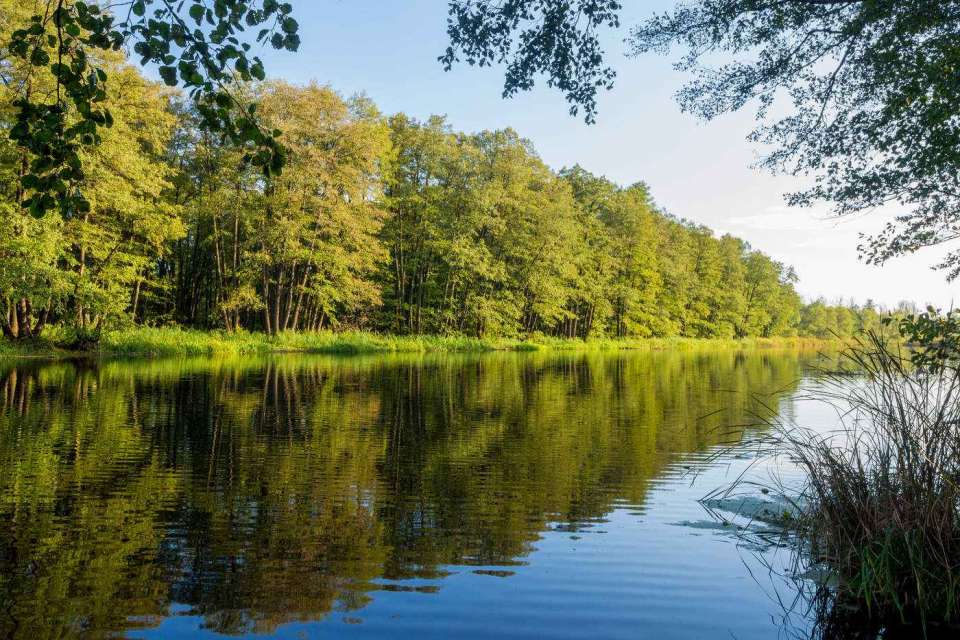 Росприроднадзор отметил улучшение состояния воды загрязненной в Липецкой области реки Усмань