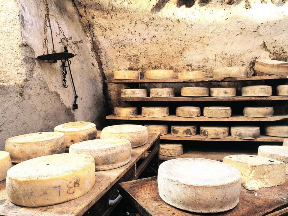 В Липецкой области будут производить сыр для французской диаспоры