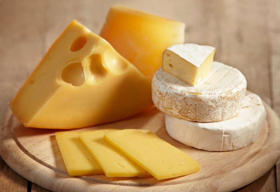 Липецкие кооператоры в 2017 году запустят современный цех по производству сыров