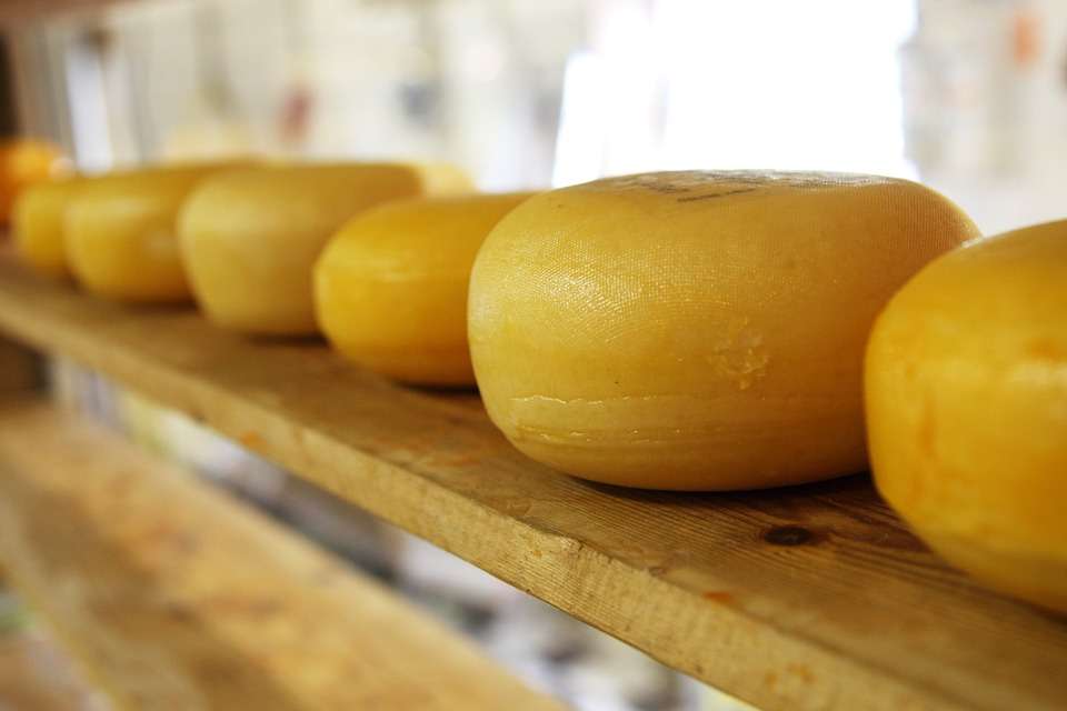 Липецкие производители сыров с плесневым грибком получили 15 млн рублей на модернизацию производства
