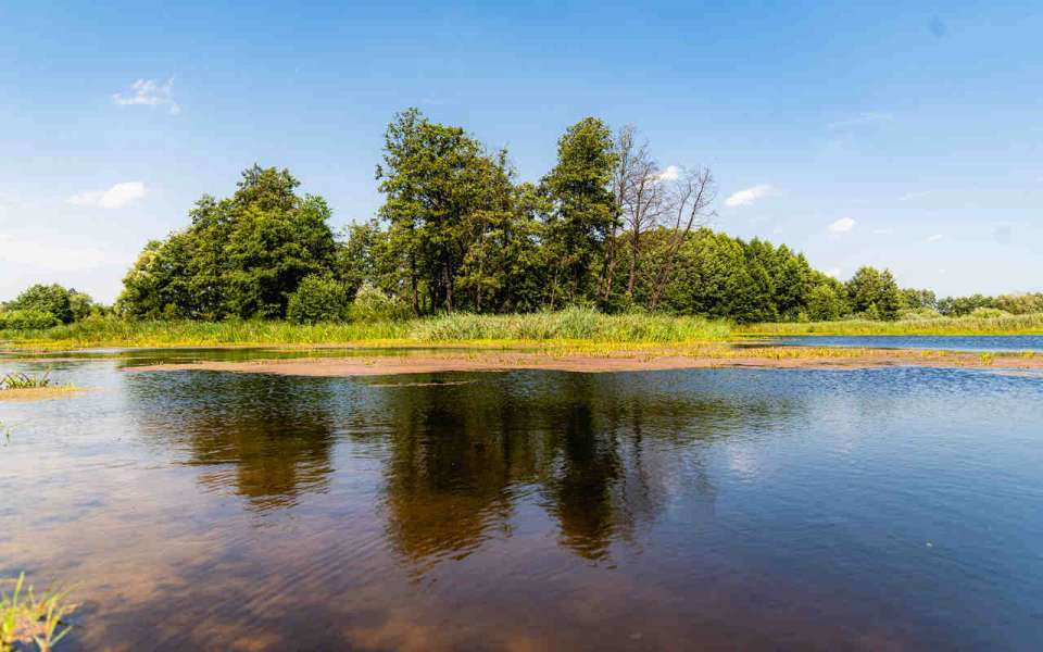 В Липецкой области расчистили пруд за 2,5 млн рублей