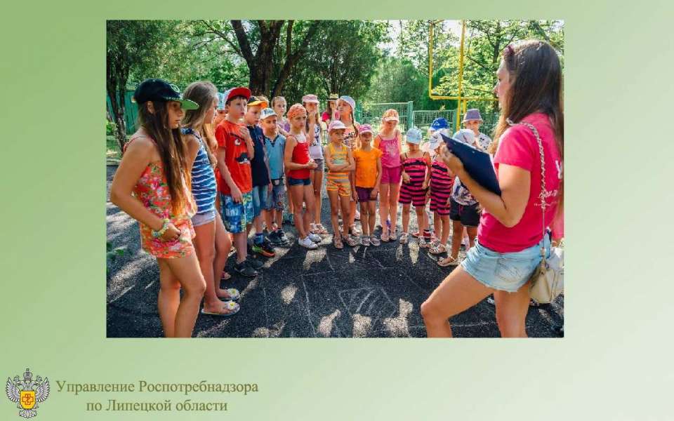 В Липецкой области летом отдохнуло 44,5 тысячи детей