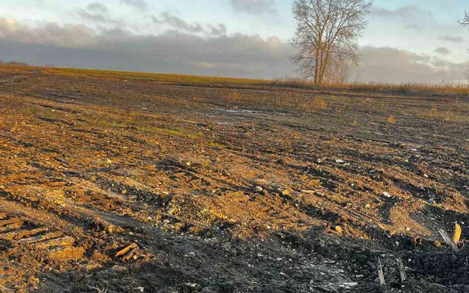 В Липецкой области по представлению Россельхознадзора ликвидированы 62 свалки