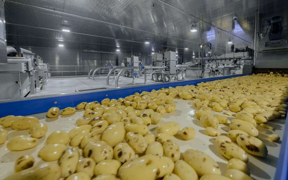 Липецкий производитель картофеля фри построил производственные корпуса второй линии завода