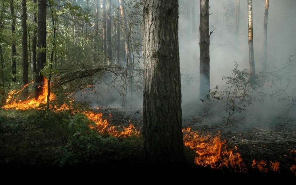 Липецких добровольных пожарных будут страховать на 100 тыс. рублей