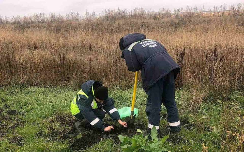 Липецкая компания «Овощи Черноземья» опять нарушила природоохранное законодательство