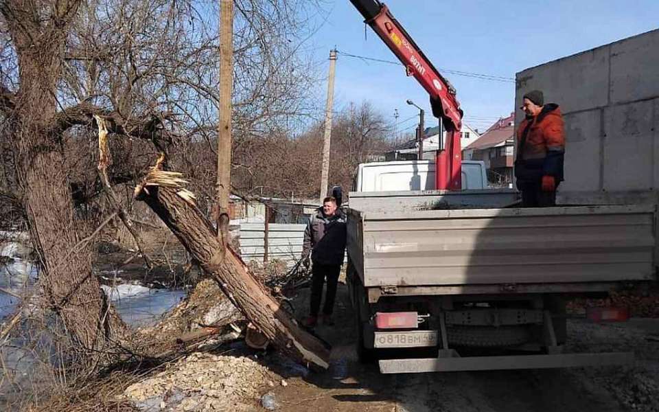 В Липецке на снос и обрезку деревьев выделили 53 млн рублей