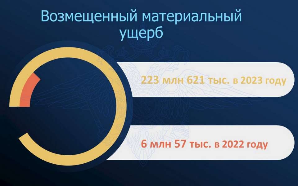 Липецкая область заняла 6 место в стране по раскрываемости преступности в Интернете