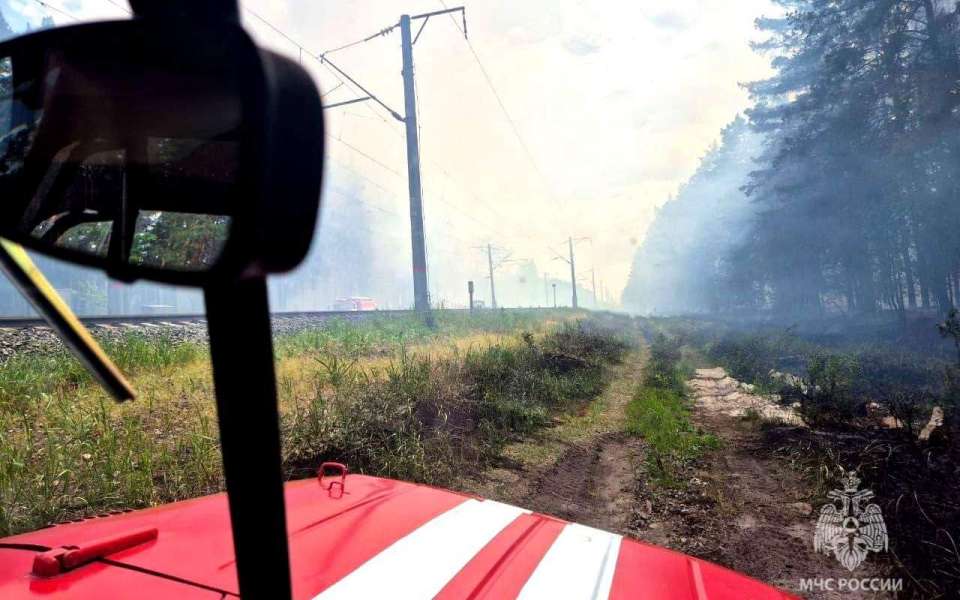 В Липецкой области горит биосферный заповедник