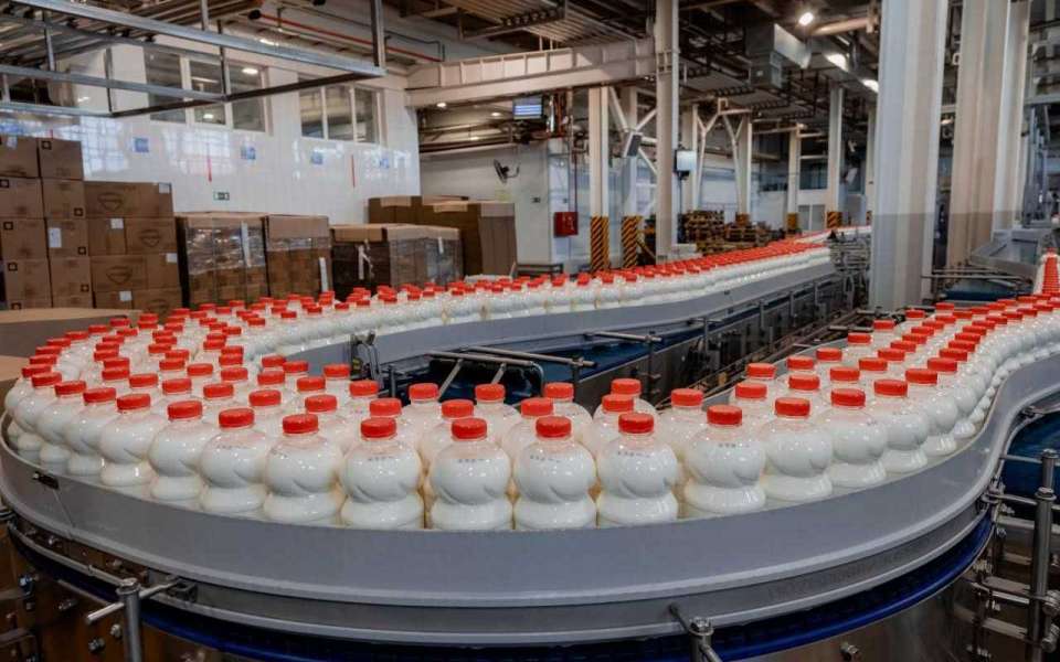 В Липецкой области выросло производство молока и кисломолочной продукции 
