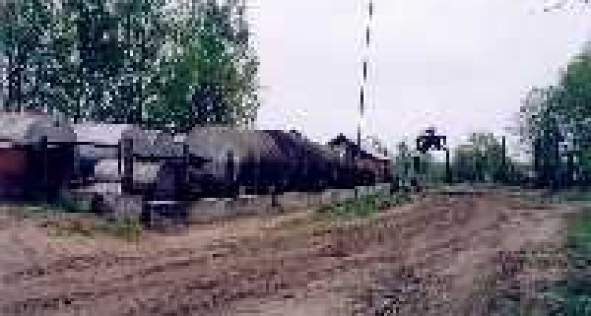 Милиция ищет банду «вредителей»