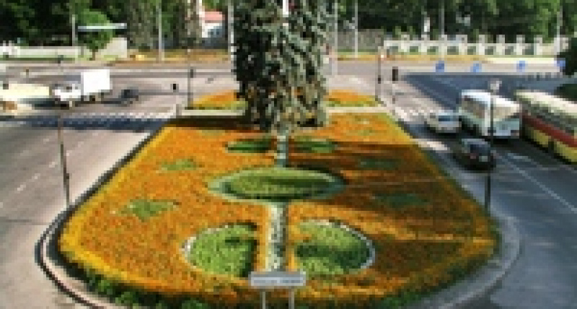 Ревизоры в школах