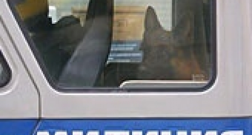 Приоритеты несовершеннолетних воров