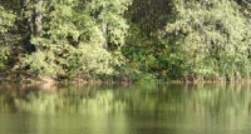 В Липецке Росприроднадзор объявил войну дворцам