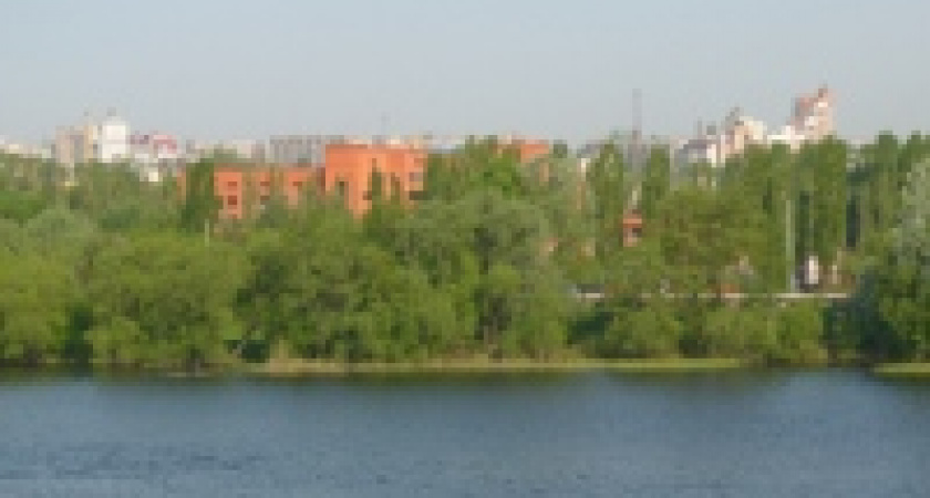 Реку спасет толстолобик