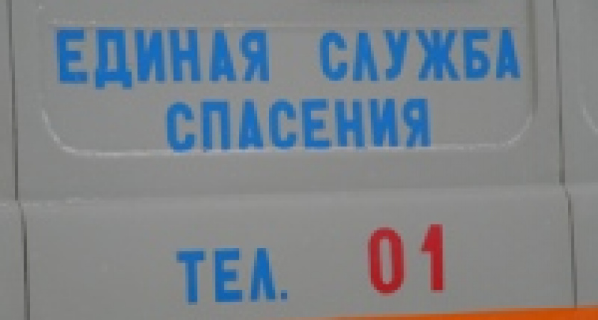 МЧС спасло ребенка