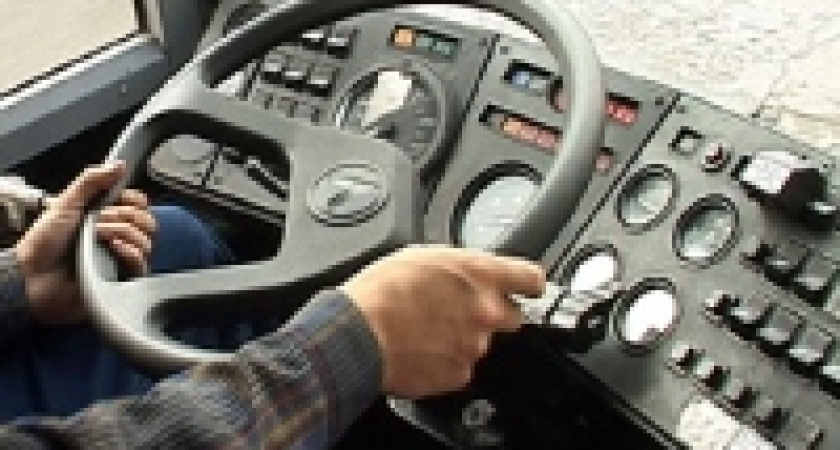 Автобусный парк Липецкой области обновился