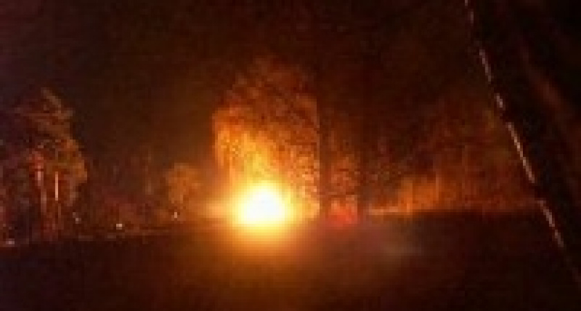 Три с половиной тысяч поросят погибли зря