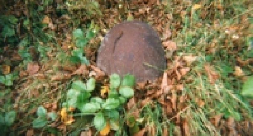 Задонский военком равнодушен к памяти павших