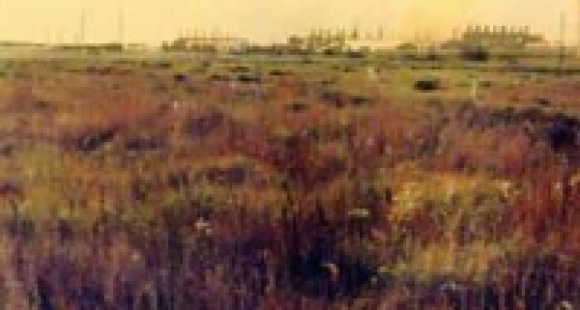 Прокуратура наказала непослушных дорожников 