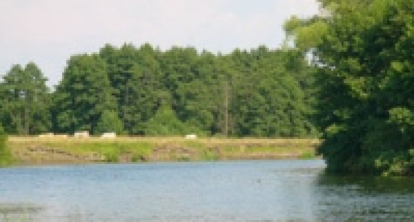 Реку Дон изучат молодые экологи 