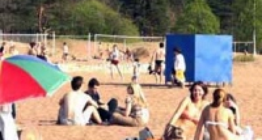 Трофеи вор выбросил в Воронеж